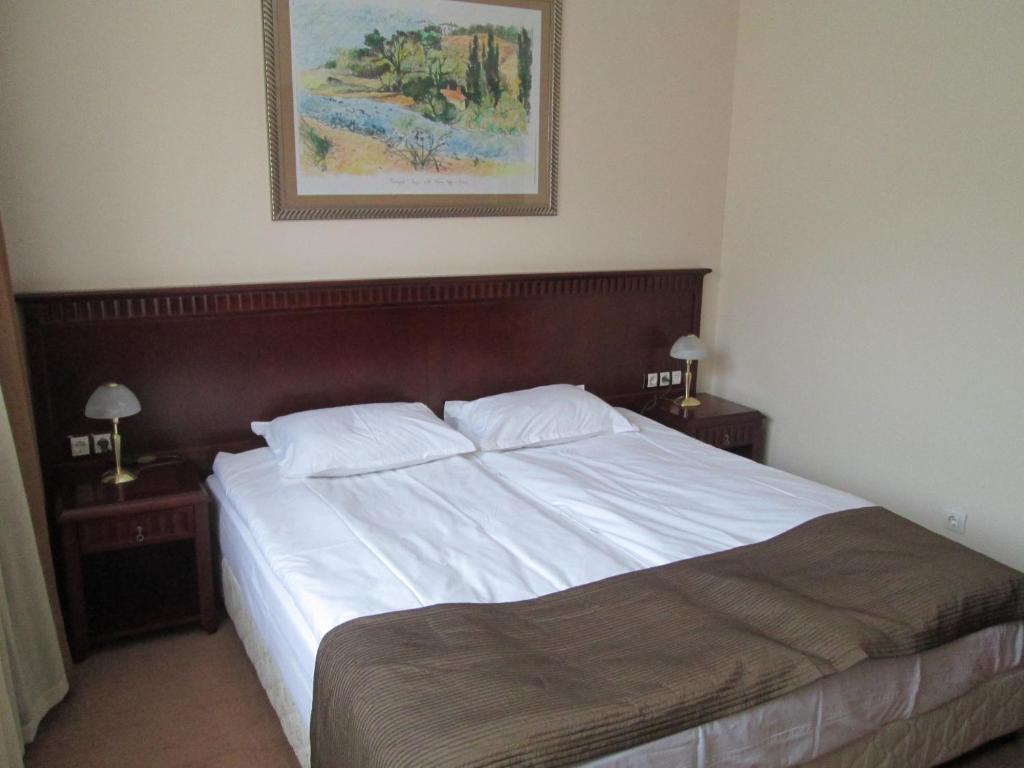 Downtown Alexander Services Apartments Bansko Habitación foto